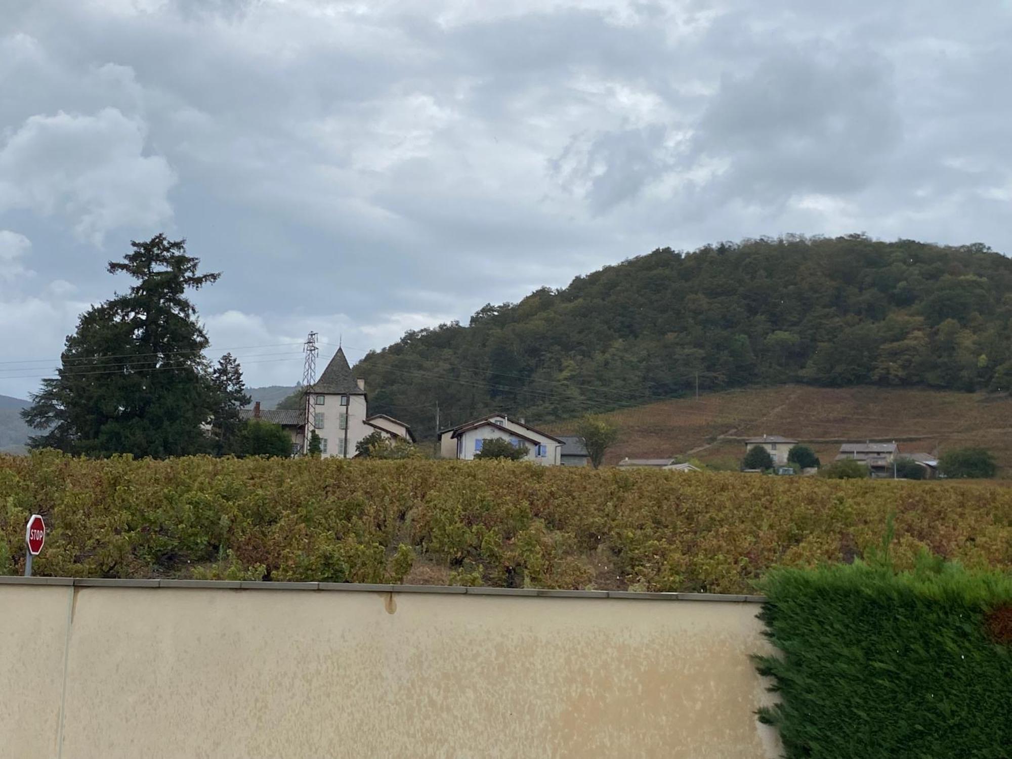 Le Bouchon De Liege Villa Beaujeu  Eksteriør bilde